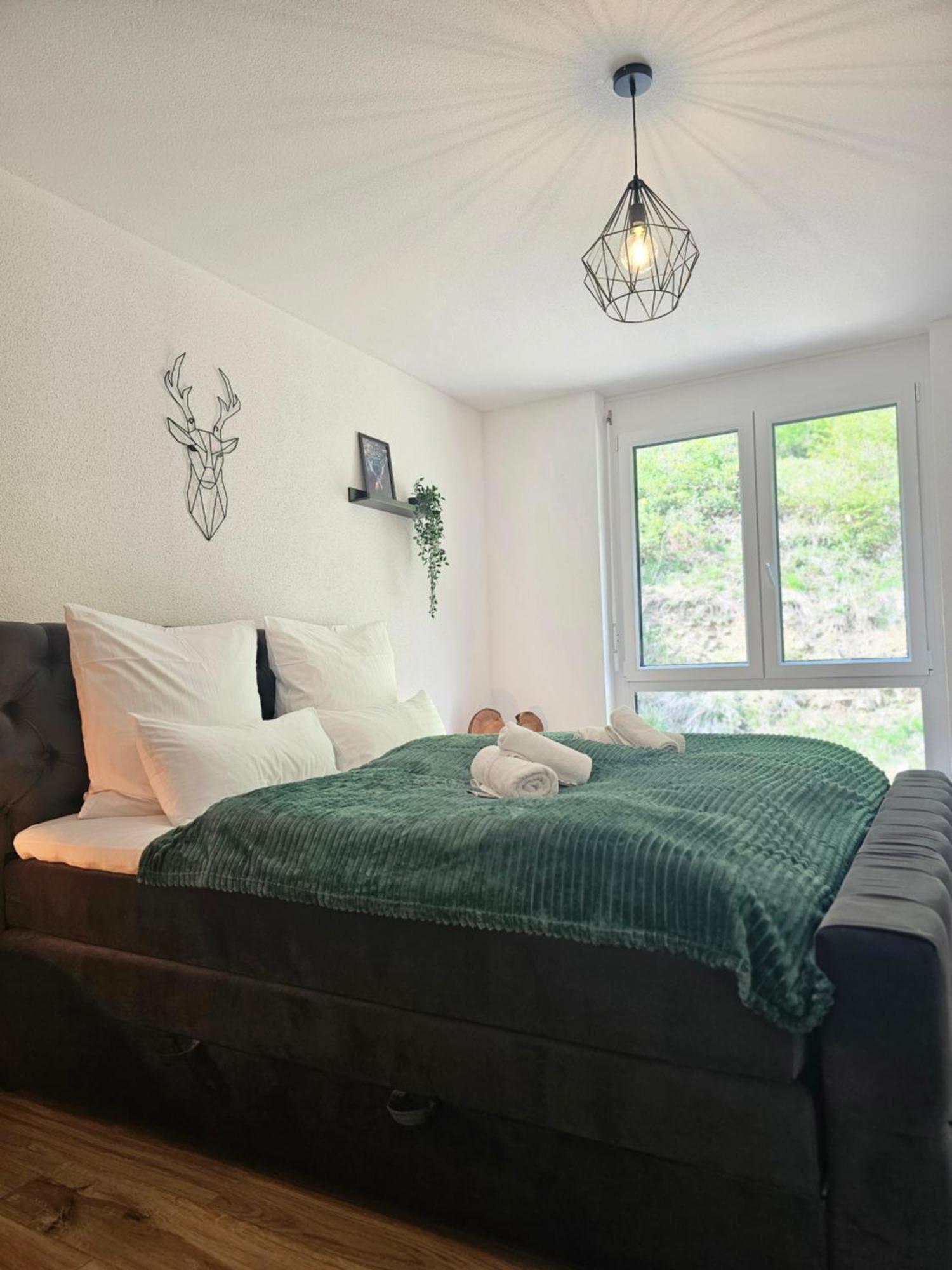 Apartment Black Forest Ii Sauna I Boxspring I Nespresso I Ausblick I Wasserfaelle Im Ort Todtnau