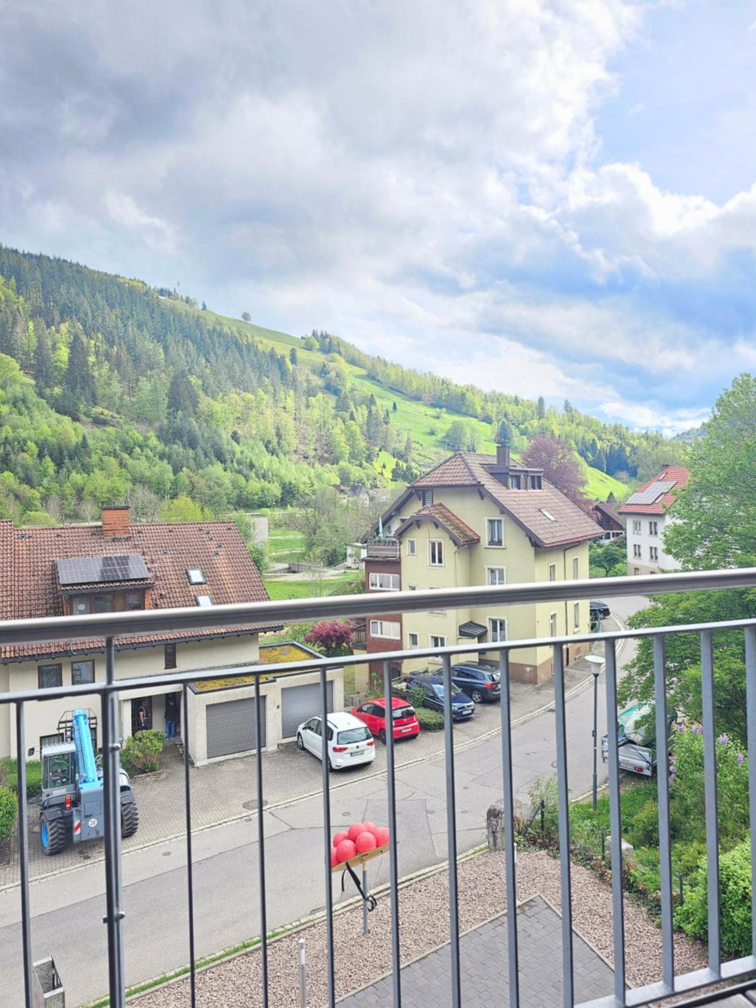 Black Forest Ii Sauna I Boxspring I Nespresso I Ausblick I Wasserfaelle Im Ort Apartment Todtnau